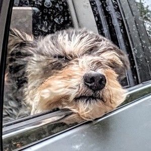 Meet your Posher, Tresa